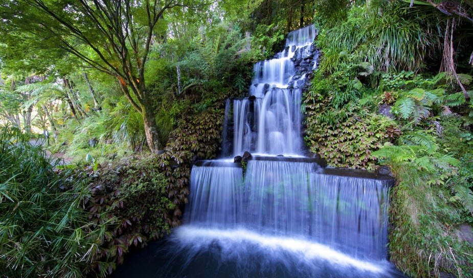 Pukekura Park, New Zealand
